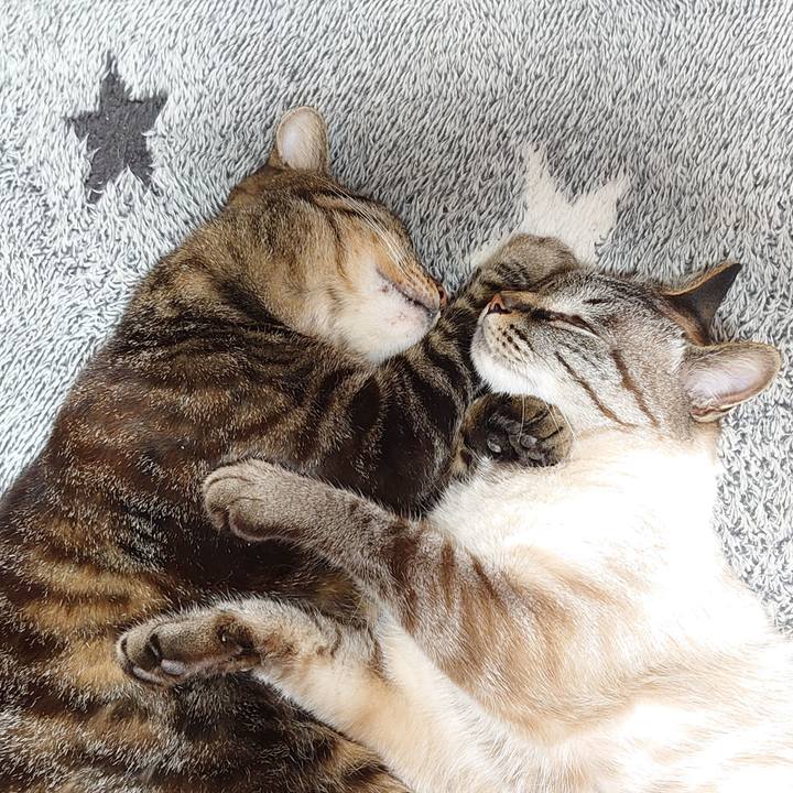 1a35d1d5 f304 4cd3 a47f 50dd8cbea3bc 1623232991843