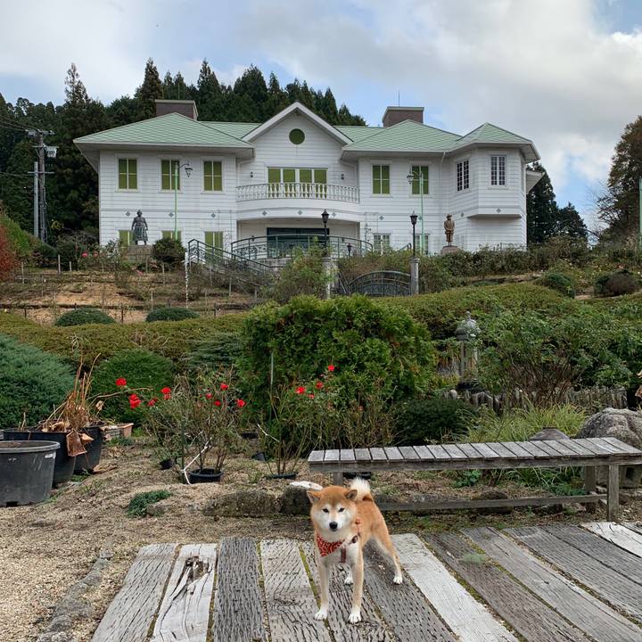 1a3601db 3576 4d1b 9555 24806b185c99 1574065760920