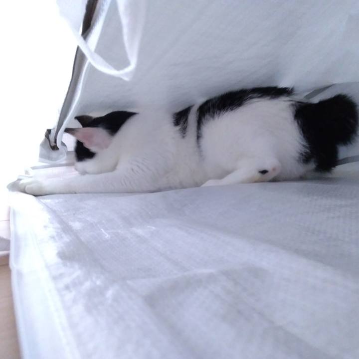 1a360f37 c9e9 4412 b43a 9cbb27196a6b 1535109523250