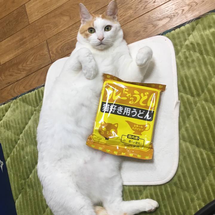 1a365d5b 2901 492c 9551 a0c8156ff7d2 1541047655285