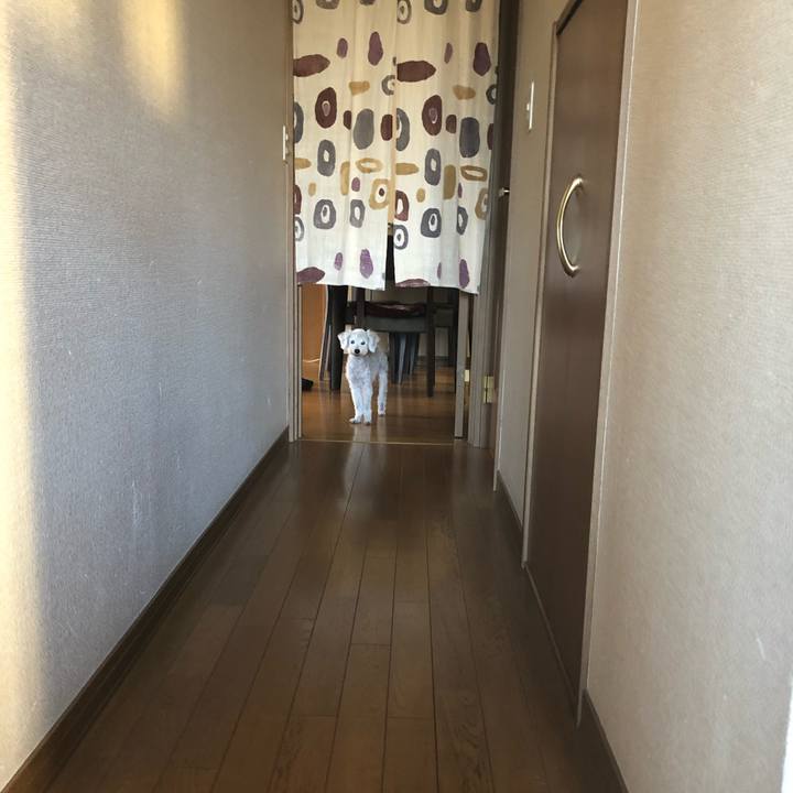 1a369bd9 ecef 492d 8ce8 21a8ab158d3e 1633478581727