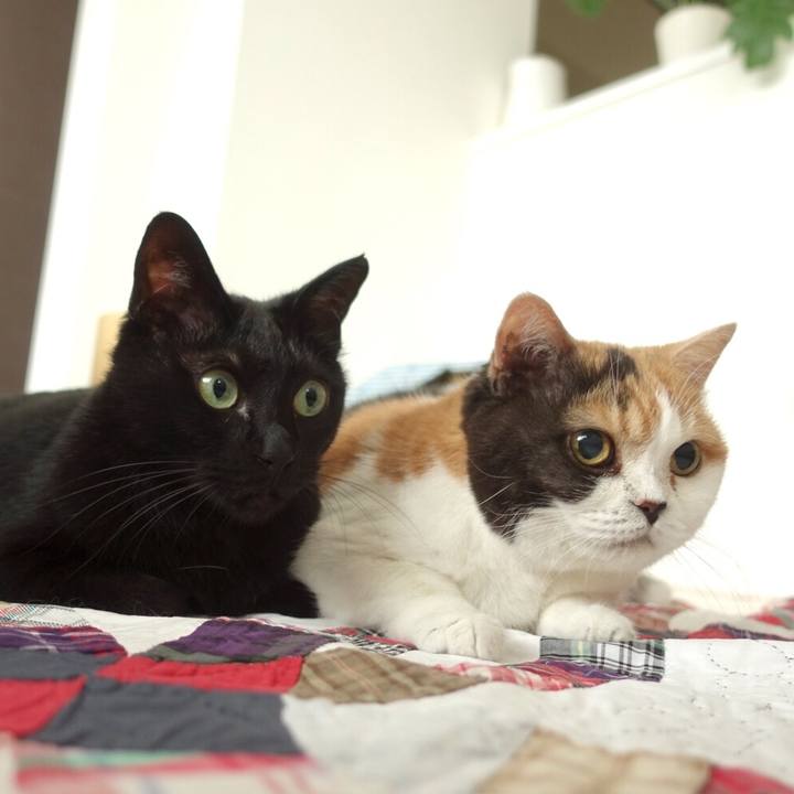 1a36a140 f8e2 4581 87de 1555a18d008e 1562991049461