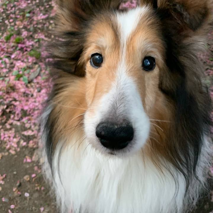 1a36b106 8685 4864 b956 0e81117024f2 1599042654010