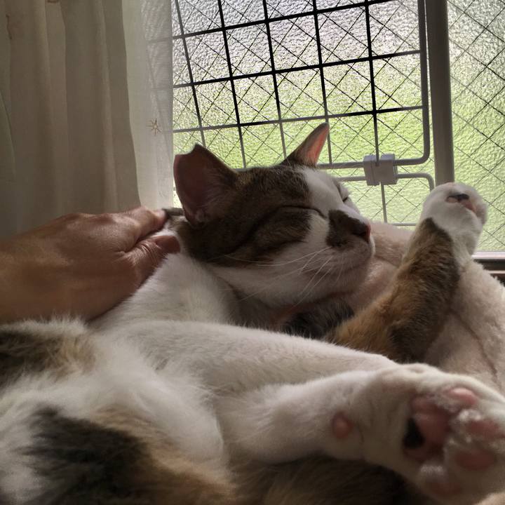 1a36c3fc 4fa8 4b0b 9060 1a120b84a9e8 1559972187470