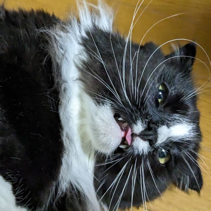 1a36dcdc f57d 49b2 9143 b42137d7e991 1679711070294