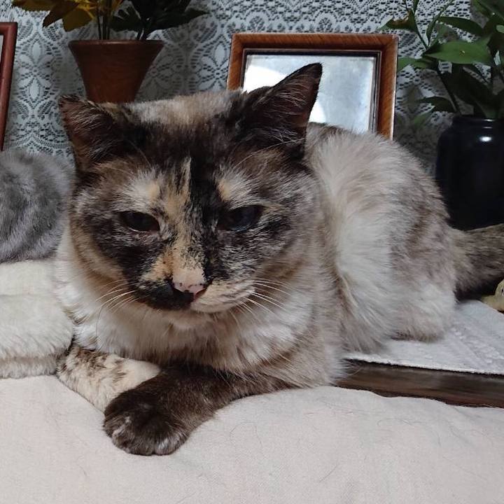 1a36eb2b f0a2 4f7e 8074 57857a9b633d 1561800784352