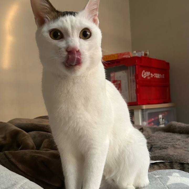 1a36f74d 973f 439f a9a1 1d08f4acf604 1776050032462