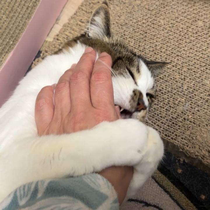 1a3701e0 f8f0 40ea 8ecb 647745952c50 1775131244597