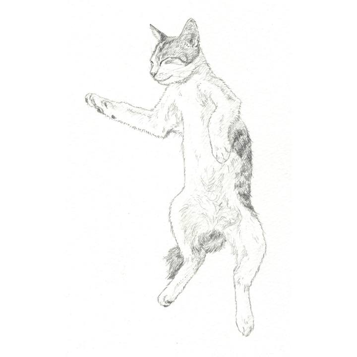 1a371bb8 4a61 47ea b571 6ec7002b19d6 1546168945354