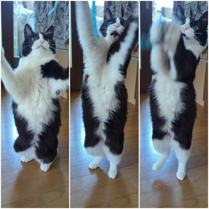 1a3730c9 f063 4c5f 8d01 9e77392af7a8 1716869249839