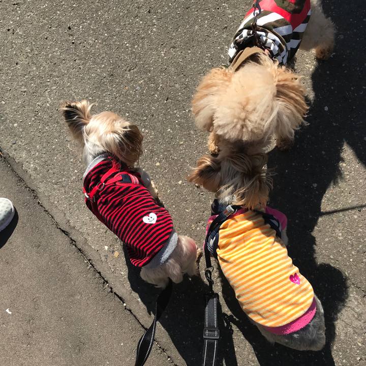 1a3748ff b76c 490c a74d 6181b136adb4 1650879447736