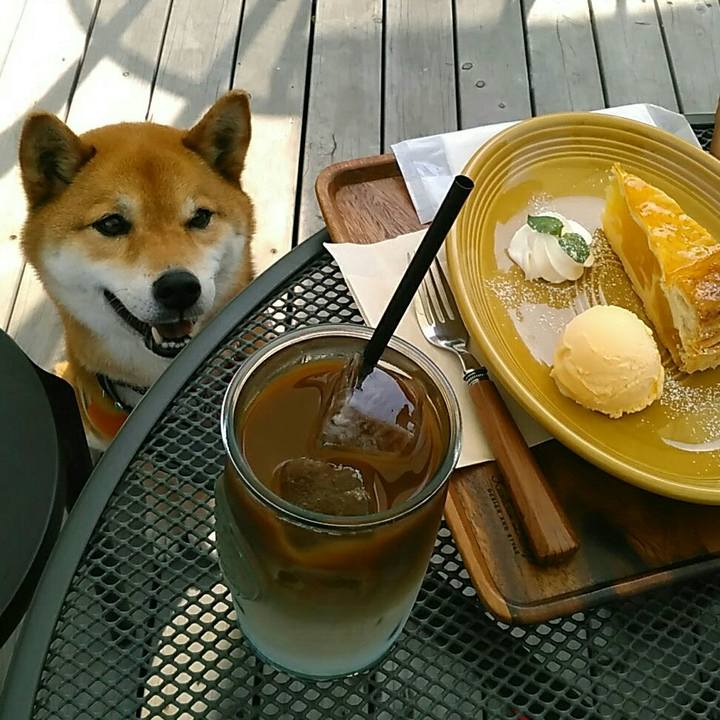 1a378910 8a5c 402b bd3a 09de030fb72d 1557652604940