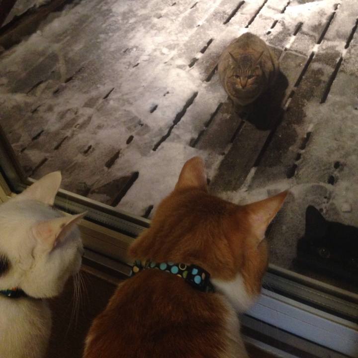 1a379785 2601 4caf 9a14 447f4af836b5 1515833445428