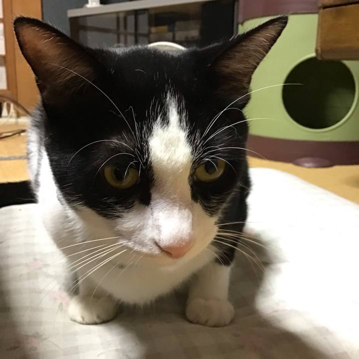 1a379c77 a371 42f8 a857 aa797a208959 1663762417749