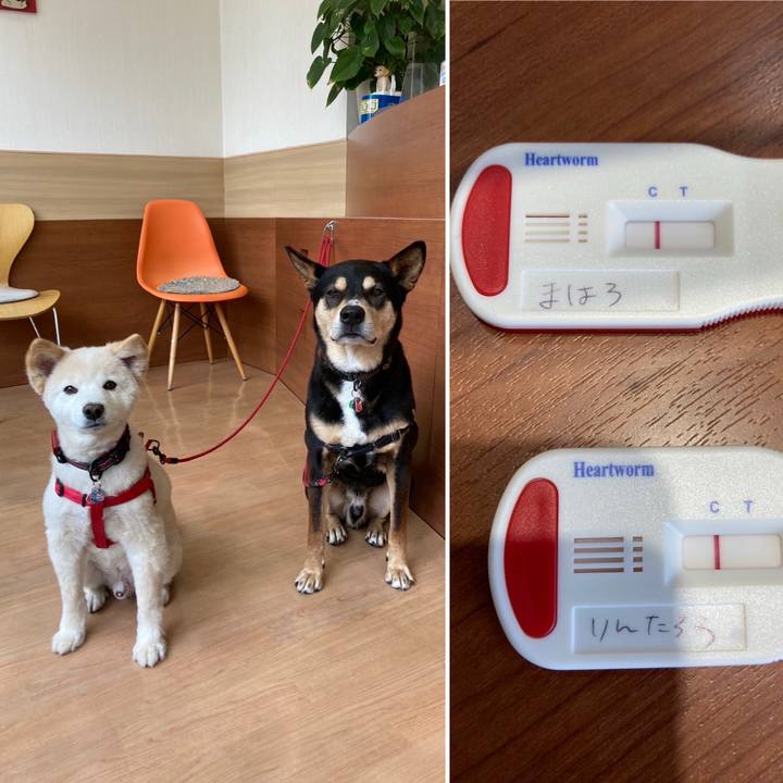 1a379d21 6390 4aa3 ad6b fd1588658548 1714131828532