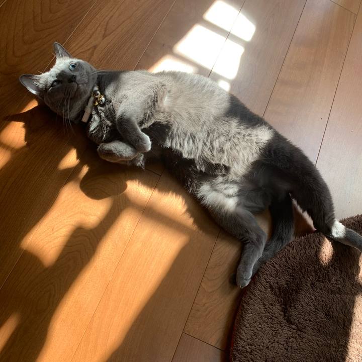 1a37a601 f35e 4c16 a423 6a3175c5fd31 1665714779722