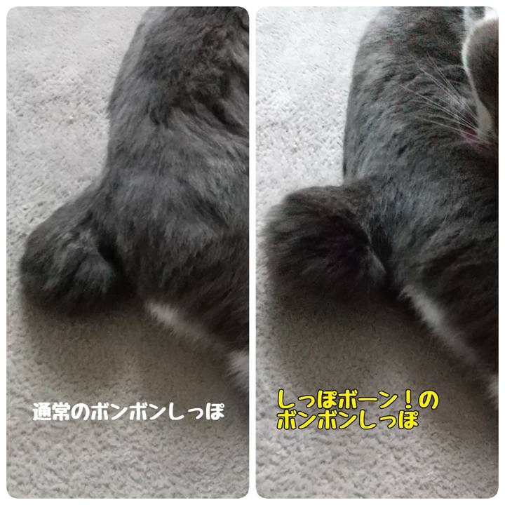 1a37a6cf 2d0c 4ac6 bad9 3a4b7b485c96 1628485532680