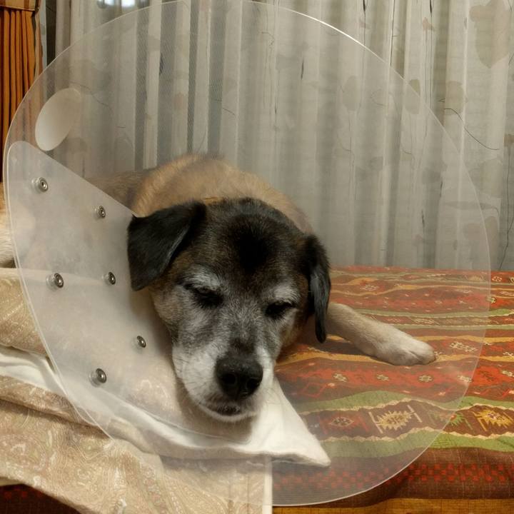 1a37b540 049e 4022 9c3a 61bdde612970 1515942677737