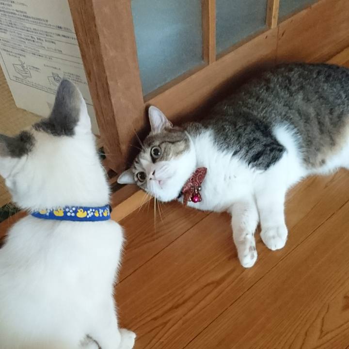 1a37dcb6 d55c 4f91 93a5 94a7c9e2d67e 1536108652084