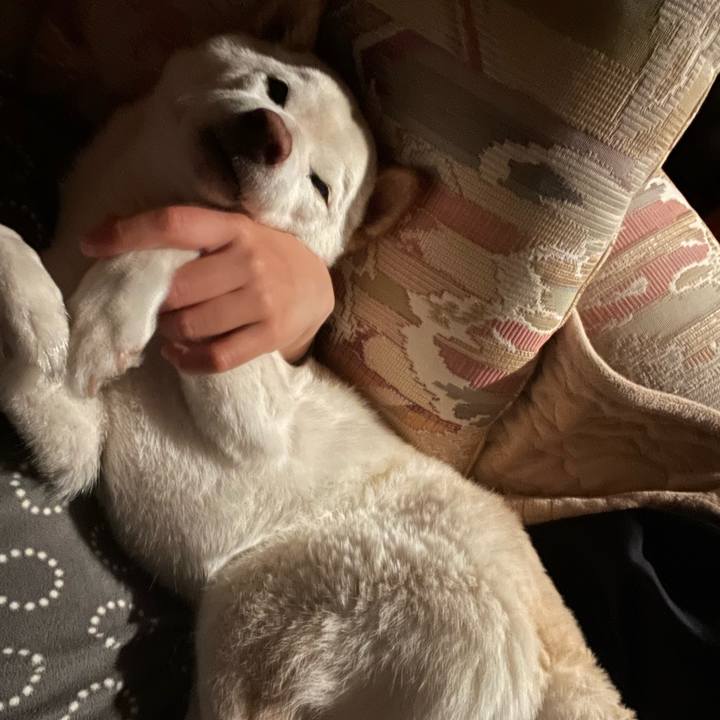 1a37e852 eb95 4b4f 99f9 63d8b19860d4 1649848537887