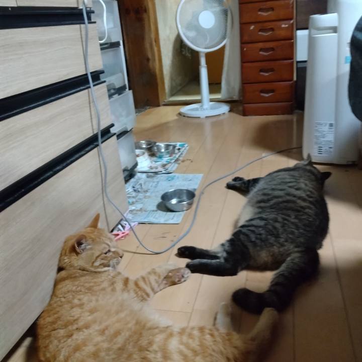 1a380510 fbde 4518 89e8 dcd776def18f 1690110797010