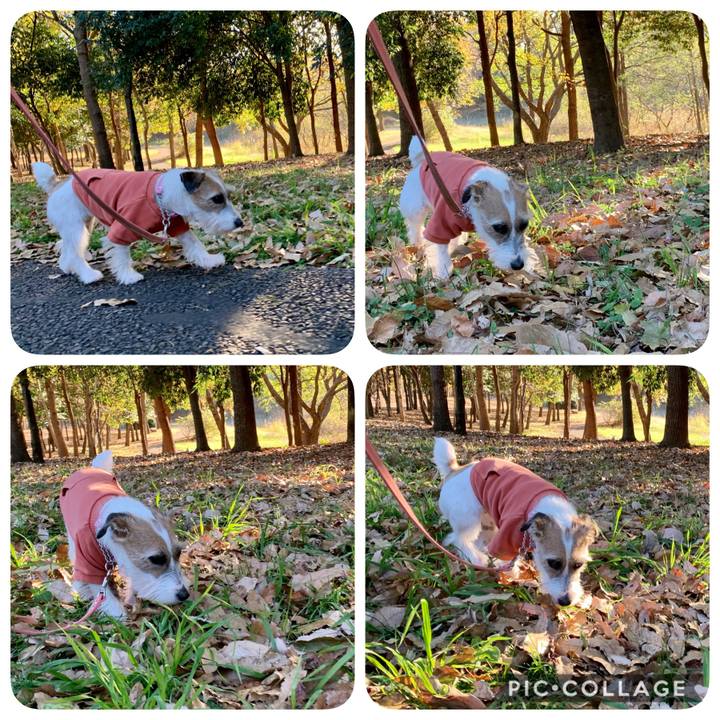 1a38068b f91c 443d ac1b 09fbedde841c 1606808188120