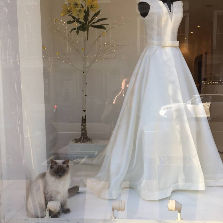 1a383c7a c917 4b96 8b8f 5ee4140ca6ed 1521648723387