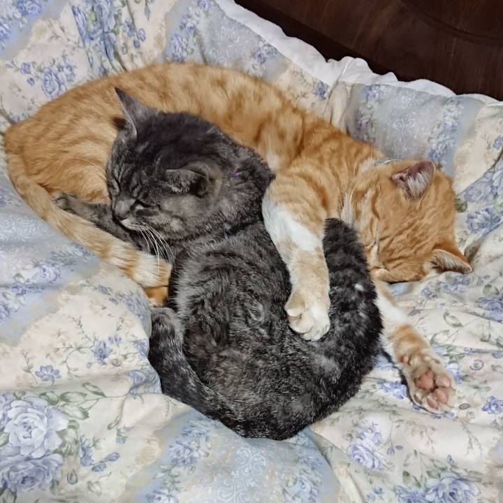 1a386315 ee70 4e93 bb9e 777a041d34e8 1583412572243