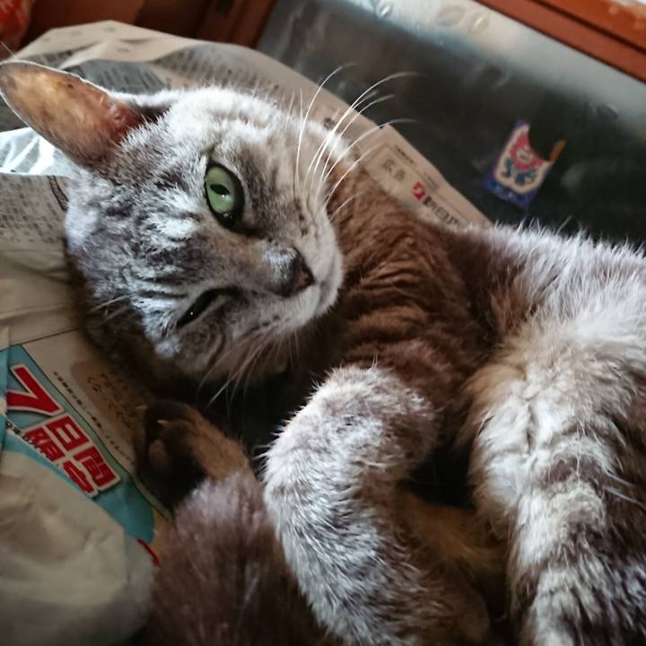 1a3869f6 d9e2 4dab aed5 8d771e97ed42 1566718323274