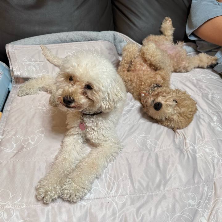 1a386a99 8134 4dee ac99 408f32bbd6c2 1759732316869