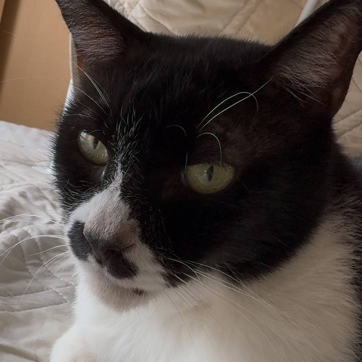 1a387ef6 e525 48a1 b172 43e8528a3af0 1754525482103