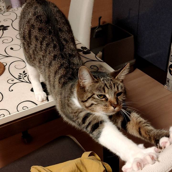 1a3888e2 f036 4f57 9889 0facfa96c726 1669041533227