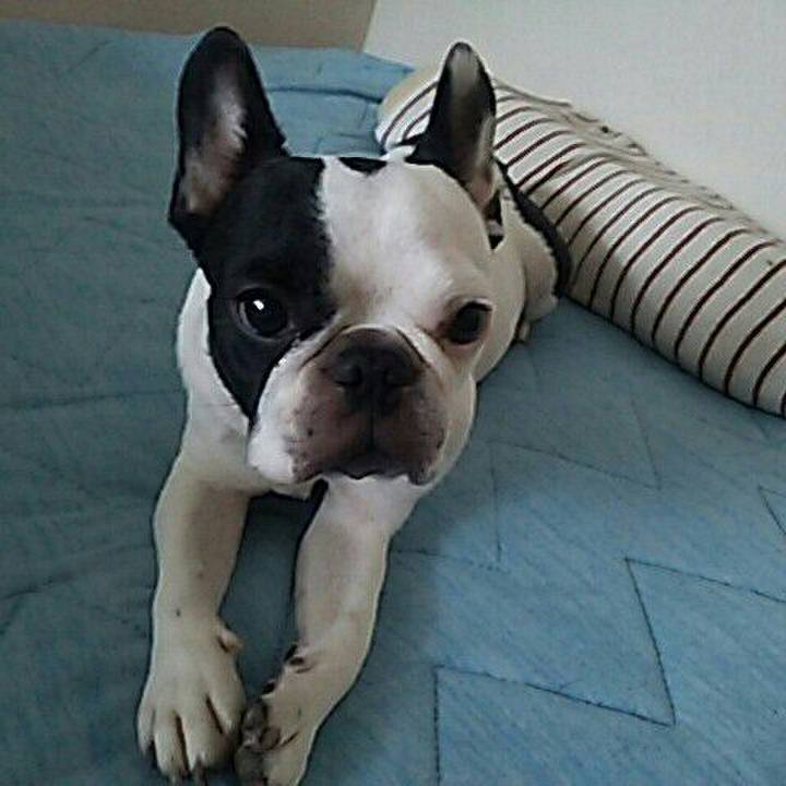 1a388b1e a4b3 4daf 8542 b5606e324d0a 1533548126364