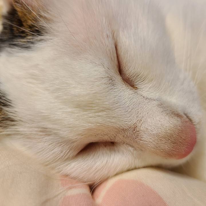 1a389d31 290d 4fc3 bed8 8ac2486961e0 1661592635692