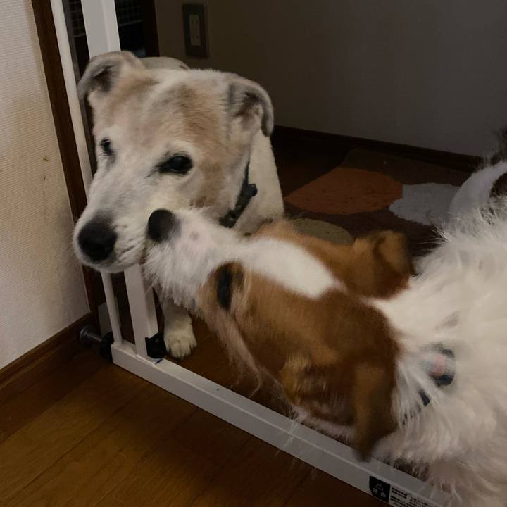 1a38b3d7 d8a3 4164 bed4 630b89aa87d8 1719179213068