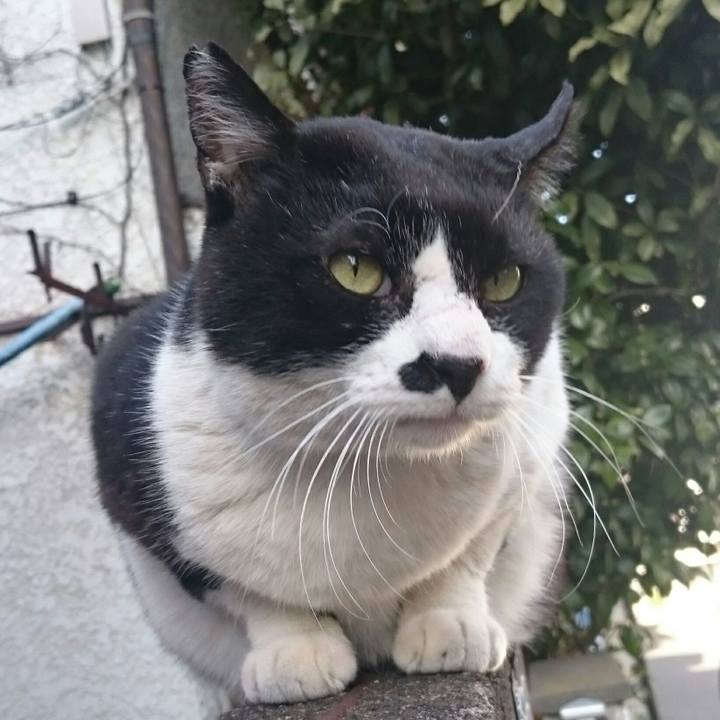 1a38e3d3 cd60 40b6 a45a b5fe5274d18a 1515299902503