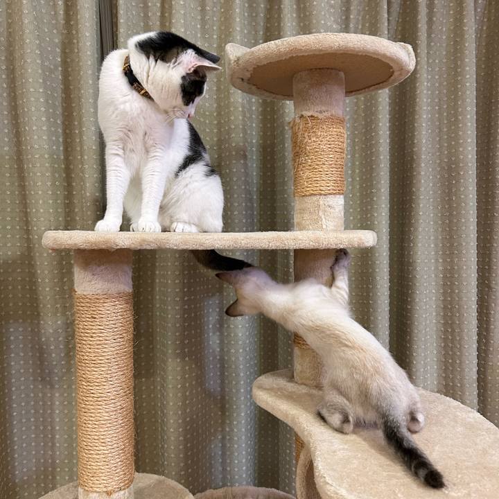 1a38ec0d 2648 4547 b018 3fe29c7a4f59 1723029117730