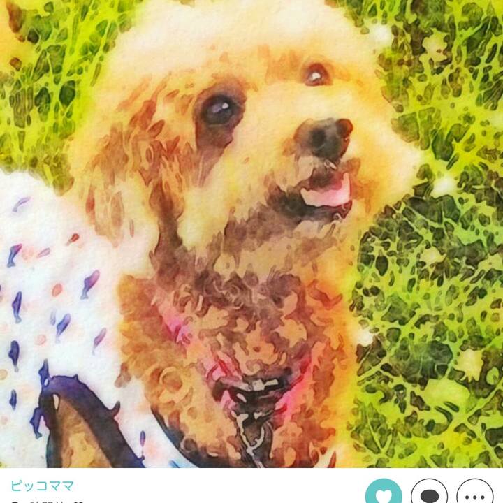 1a39228d f8d4 4e04 8fa9 f102bd0d1450 1530852215856