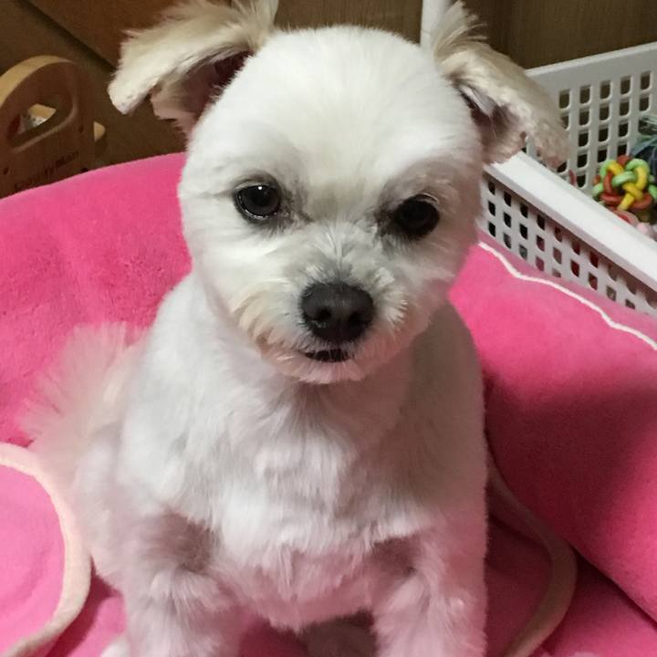 1a3929e6 1d3c 44de 9e53 b09e6192267a 1515378076429