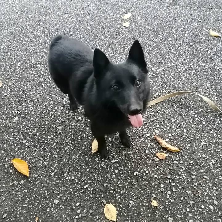 1a394c45 bd19 4cc1 8818 1e23d2c59a5e 1632863135410