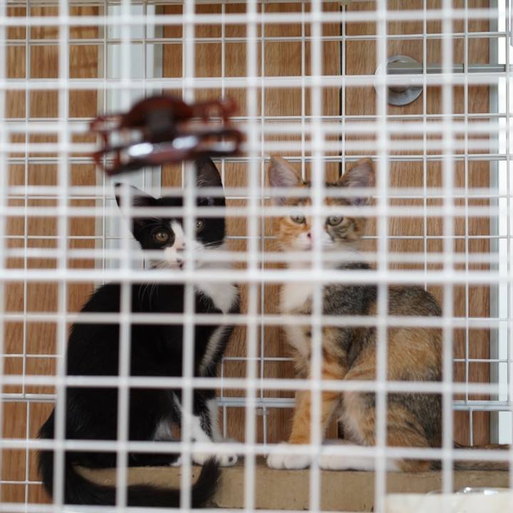 1a39b97d 27a9 4614 ae88 3078a19412f6 1568073294246