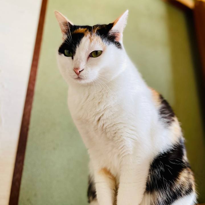 1a39be39 16f7 4b40 9588 9cd80fc907fb 1606442964728