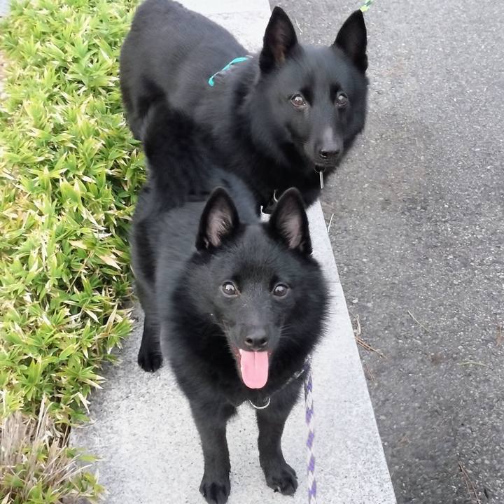 1a39fe09 cf2a 4bbc 9305 504f0e409356 1757716022329