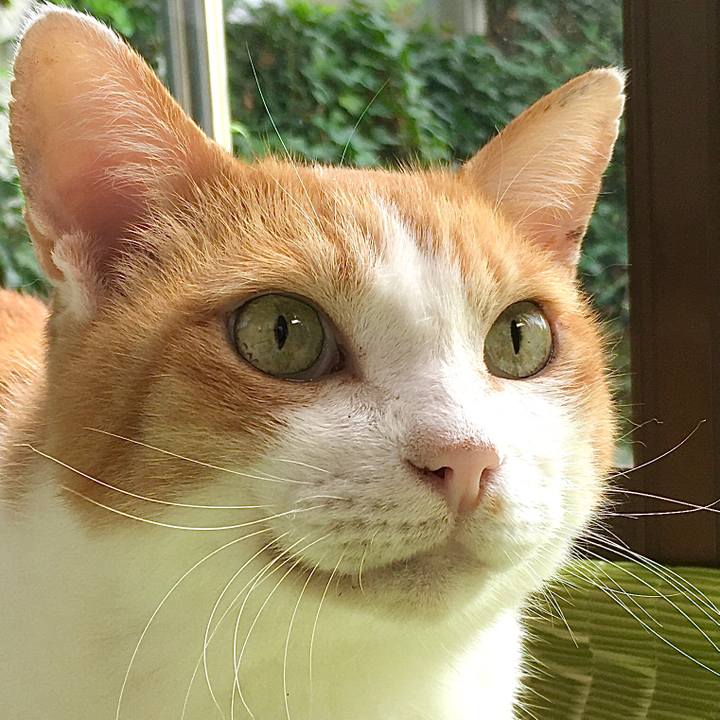 1a3a08a1 73f1 423e 8722 26a6ac561973 1600932193212