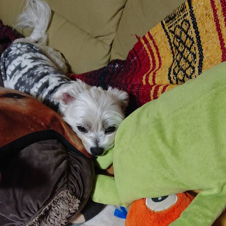 1a3a2a38 b273 4155 a8fb 2b0a55a42c5c 1637739268800