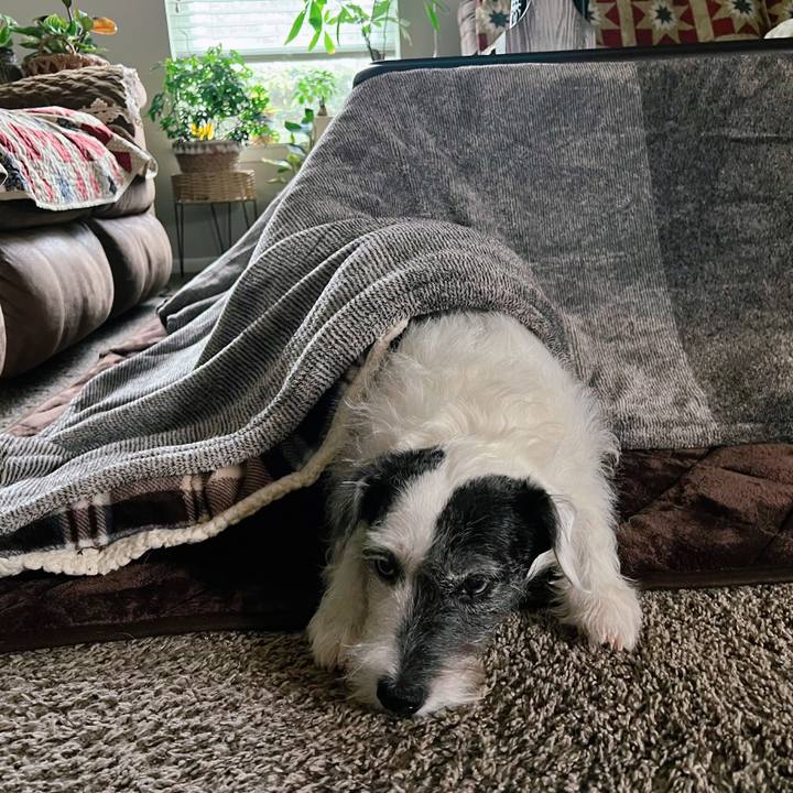 1a3a4868 0f5c 415f b3ce 0f418add78e3 1674253244861