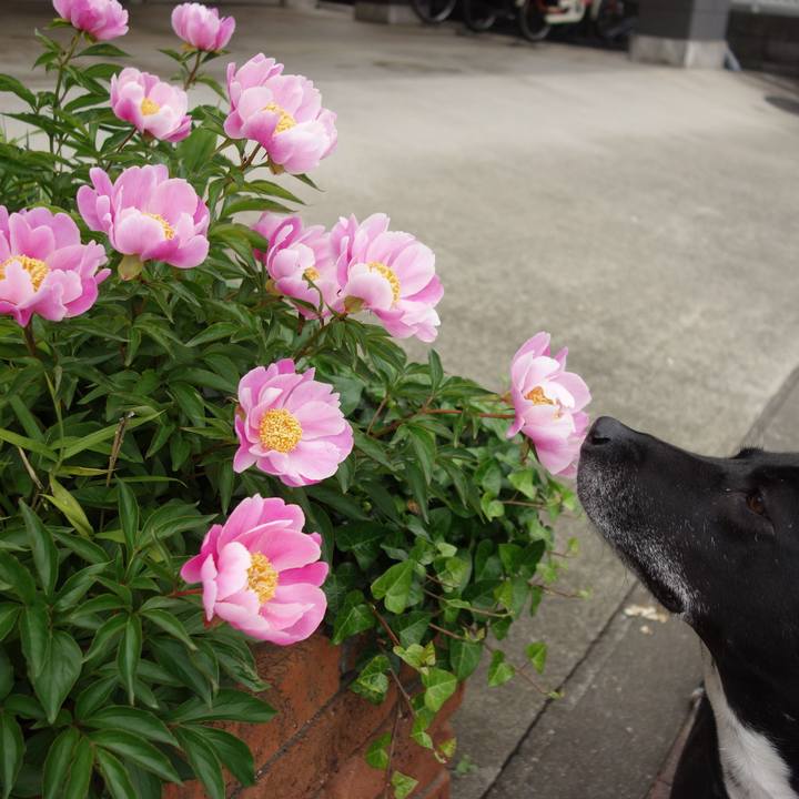 1a3a820b 04cc 4ffd 9bf3 a90149c59f0e 1651367784072