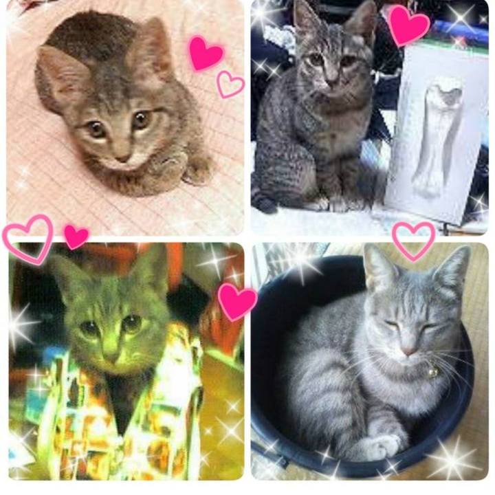 1a3a9020 570d 4cb1 92e0 ebc6ae2b058e 1696936775953