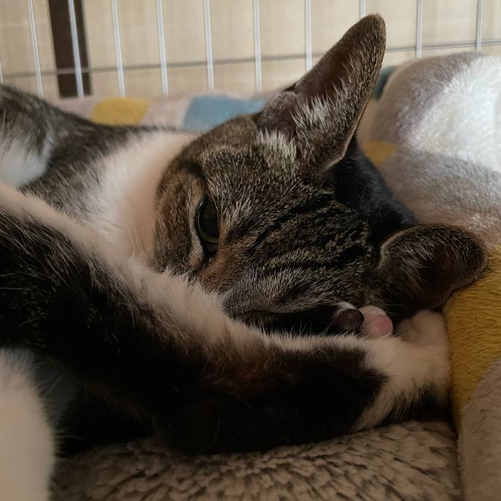 1a3ae0a2 cf66 45c9 9824 60d97aec0608 1628818989517