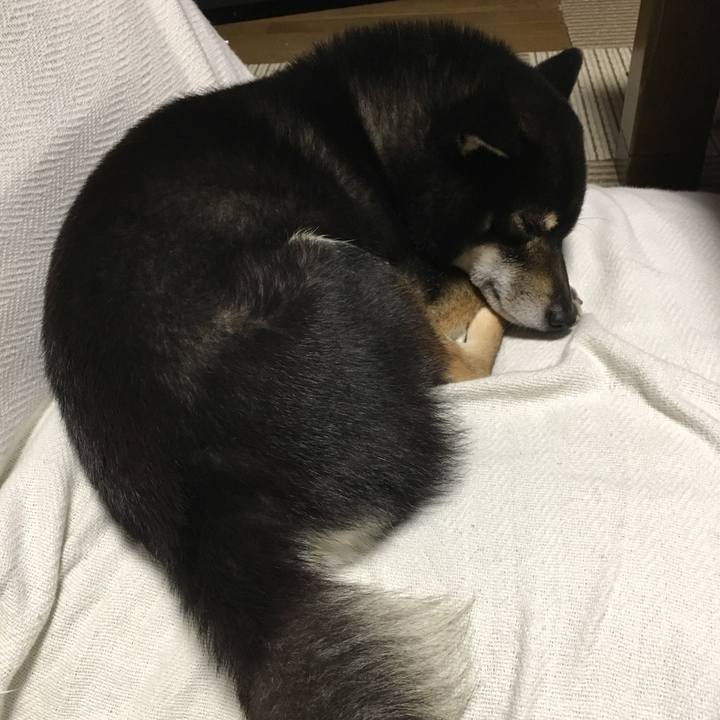 1a3ae49d 3048 46f7 9a4b d60dadb1d954 1511522380559